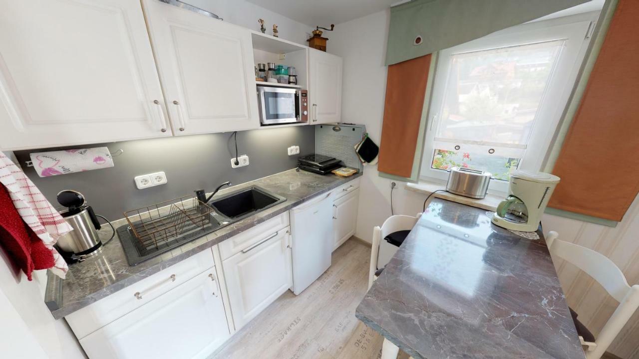 Ferienwohnung Wild Klingenthal Εξωτερικό φωτογραφία